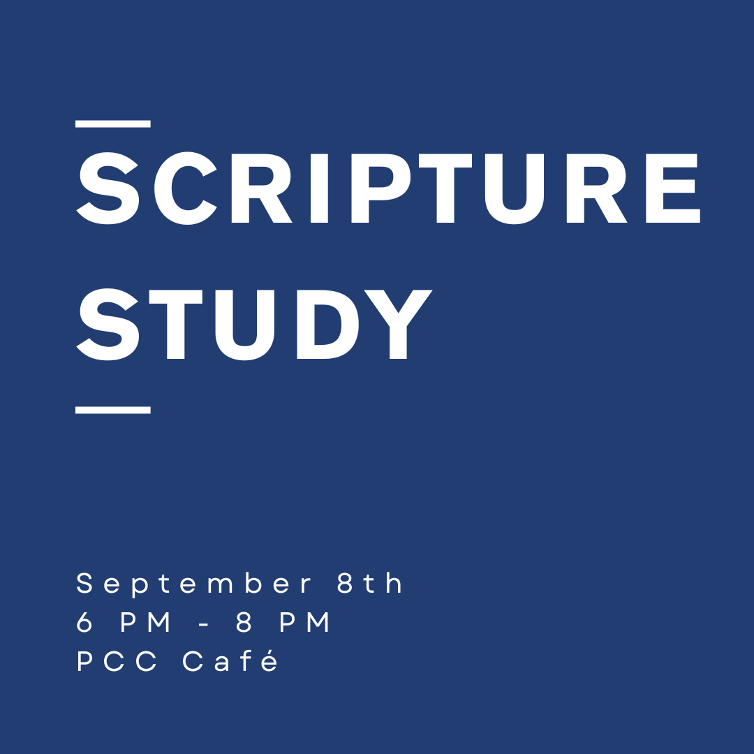 Scripture Study