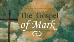 minor prophets bible study