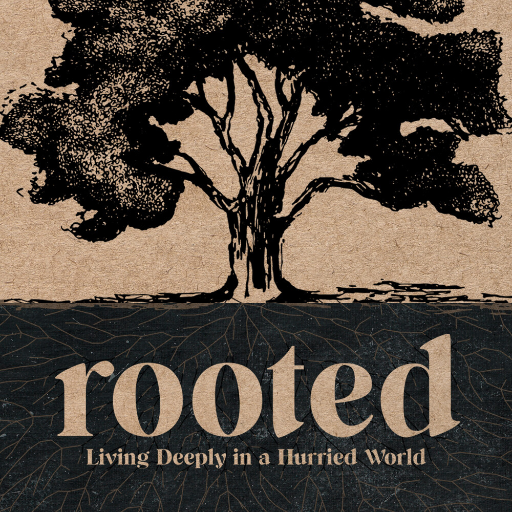 Rooted in Rest // Matt. 11 & Jer. 6