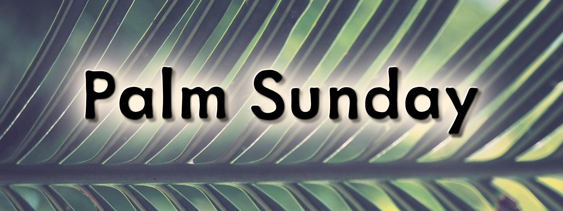 Palm Sunday 2017