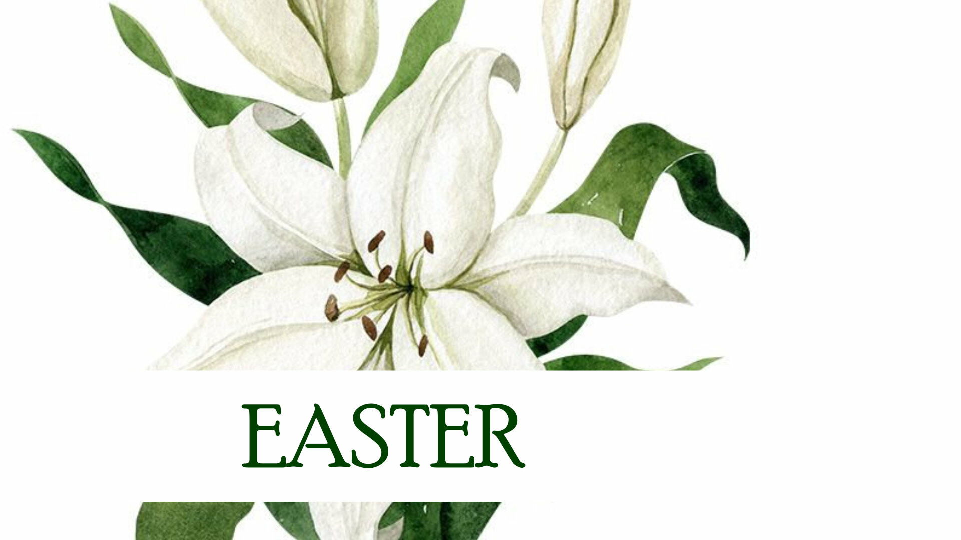 First Baptist West Albuquerque Sermons