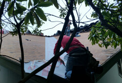 roof4