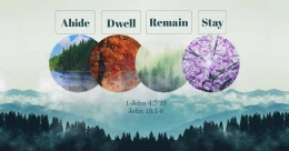 Abide, Dwell, Remain, Stay (cont.)