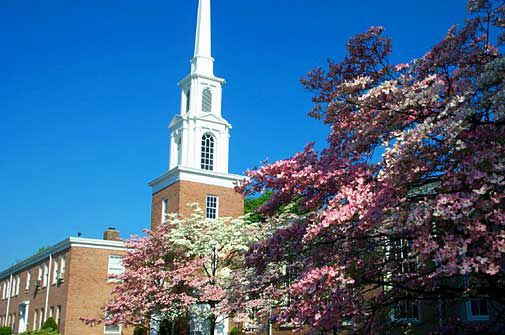 Congregational Meeting 2026