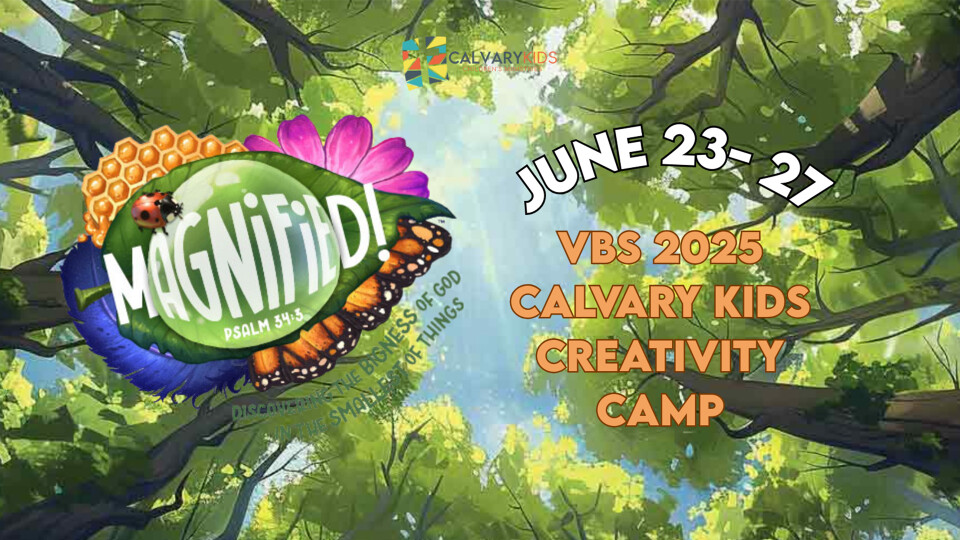 VBS 2025