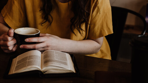 Which Bible Translation Should I Use?