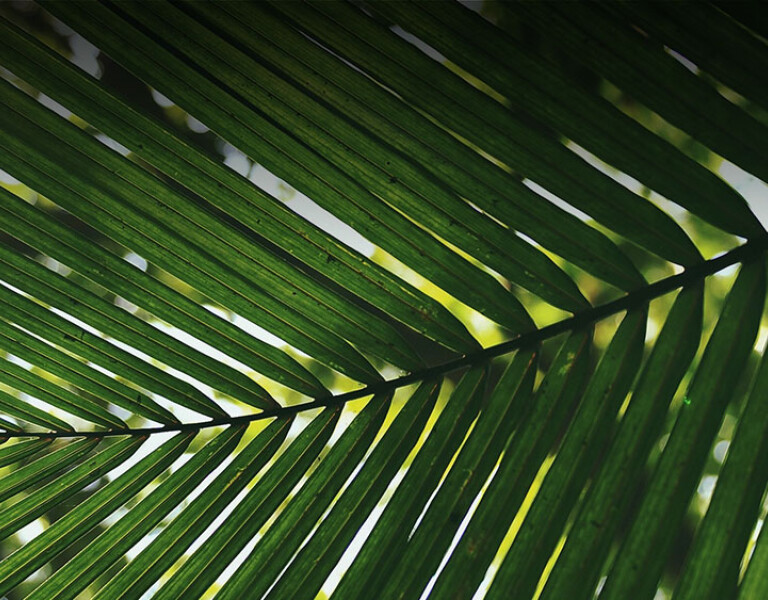 Easter Devotional Day 2: Seeking Messiah