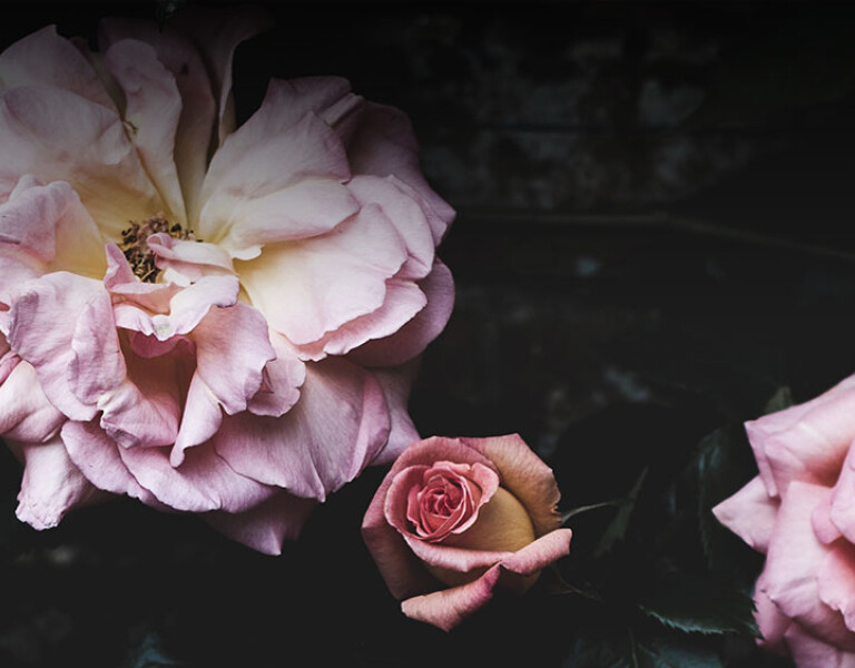 Easter Devotional Day 4: A Godly Perspective