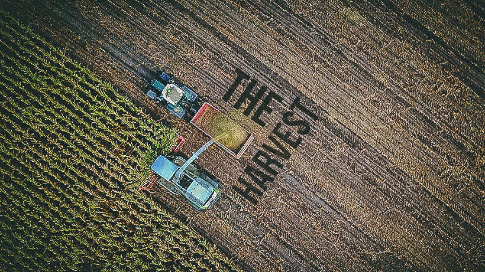 The Harvest