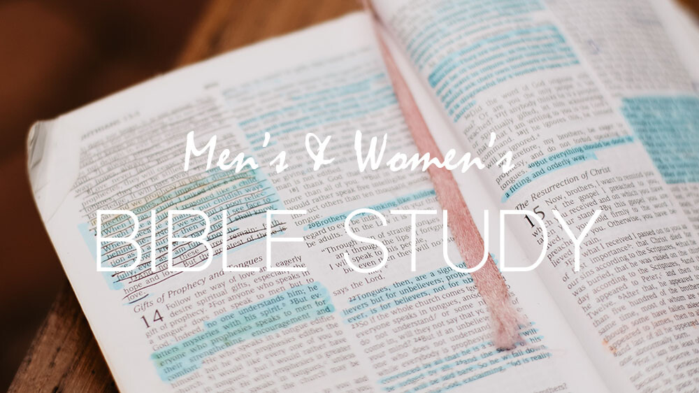 Spring Bible Studies