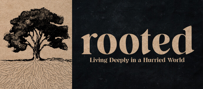 Rooted