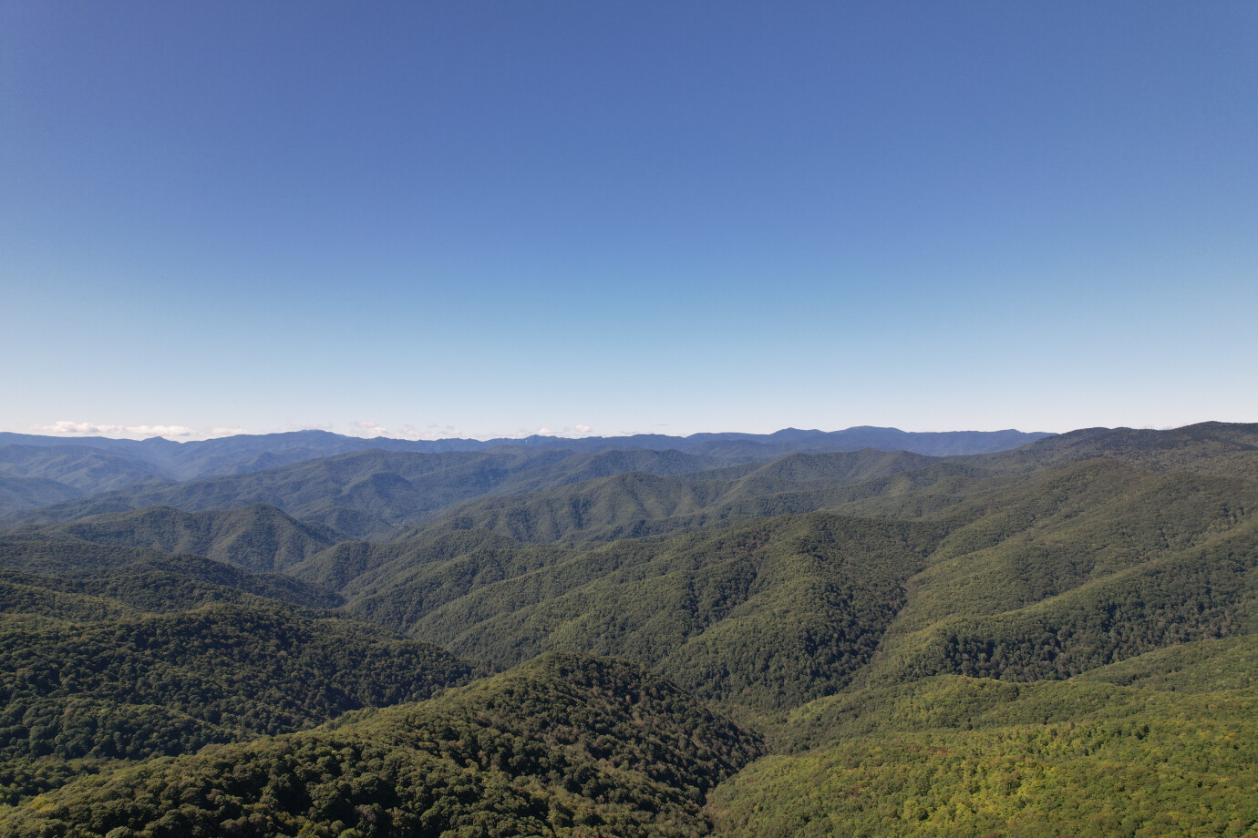 Clinics Closed Today Easter Holiday