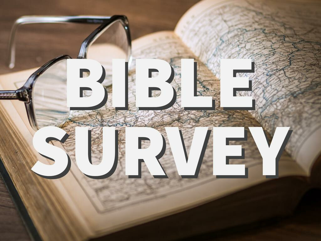 Bible Survey: Ruth