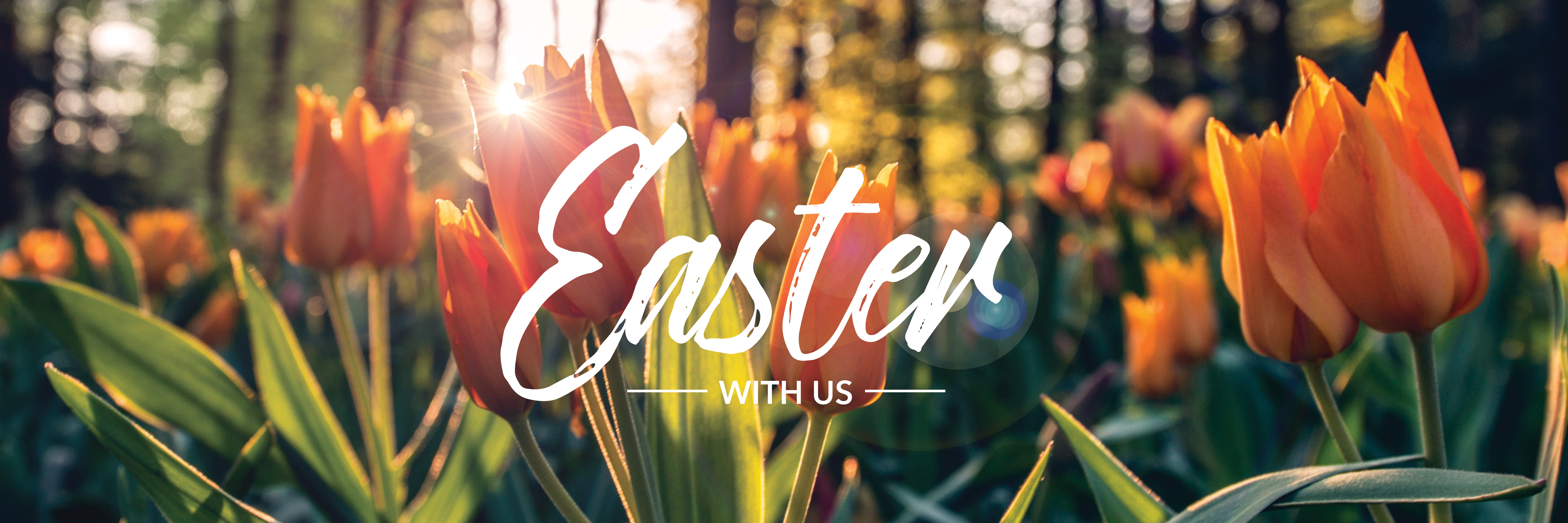 Easter (Audio) episode artwork
