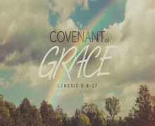 Fourteenth Sunday after Pentecost - Sept 11