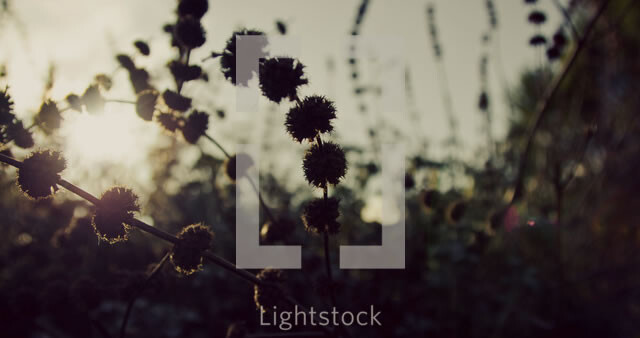 banner-1