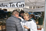 GVS_2012