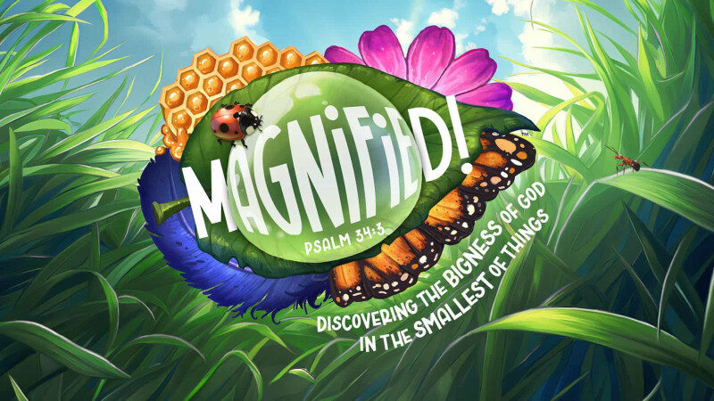 Kid's Bible Camp (VBS)