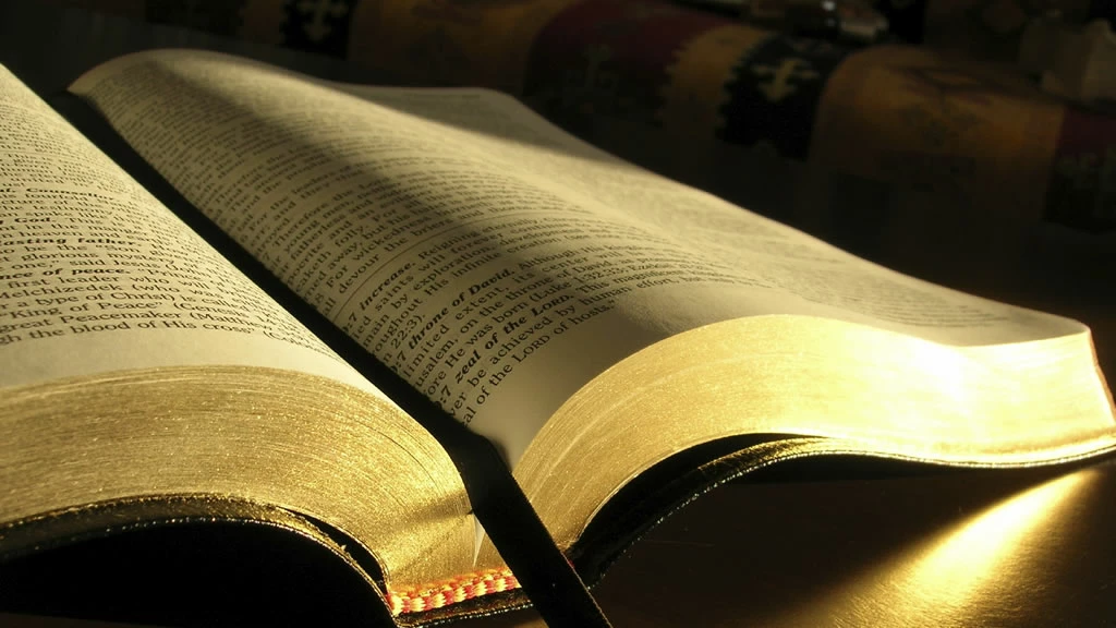 Women's Bible Study