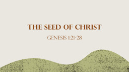 The Seed of Christ |  Genesis 1:21-28 | Ephesians 4:12-16