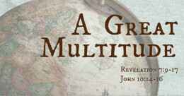 A Great Multitude (cont.)
