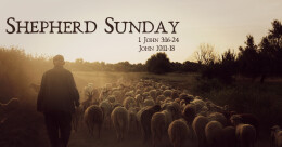 Shepherd Sunday (trad.)