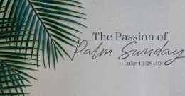 The Passion of Palm Sunday (cont.)