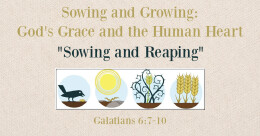 Sowing and Reaping (cont.)