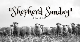 Shepherd Sunday (traditional)