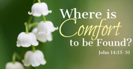 Where Is Comfort to be Found? (trad.)