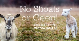 No Shoats or Geep! (trad.)