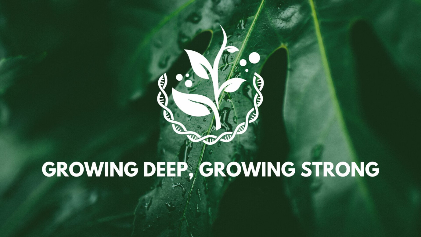 Growing Deep, Growing Strong Membership Course