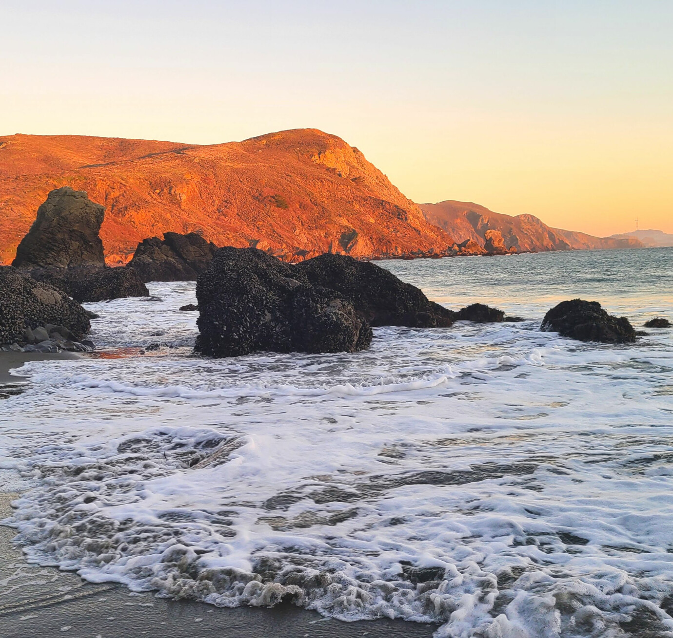 Epiphany at Muir Beach