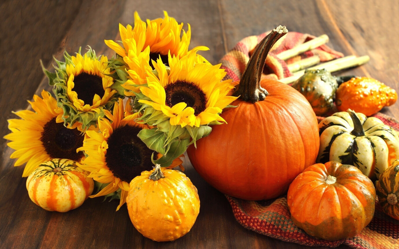 Women's Fall Fellowship