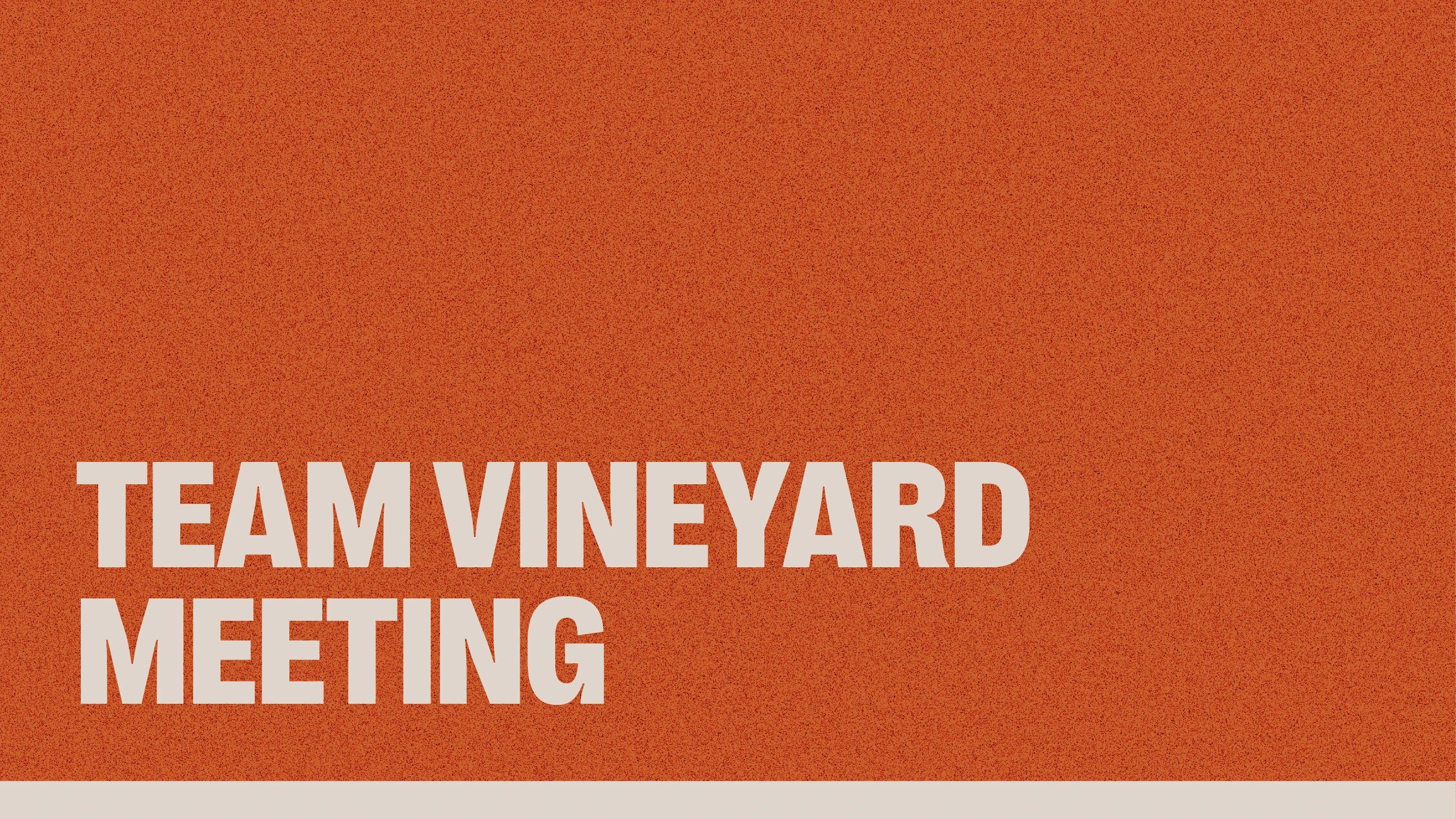 Team Vineyard Meeting 
