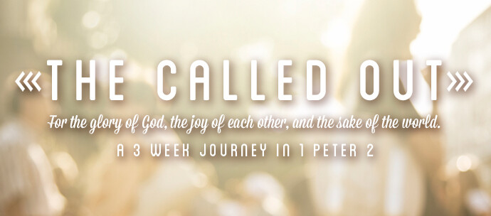 For God, One Another, & the World episode artwork