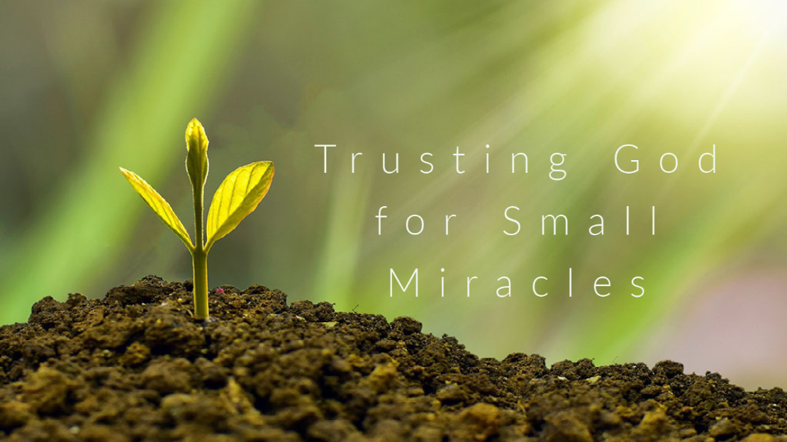 Trusting God for Small Miracles