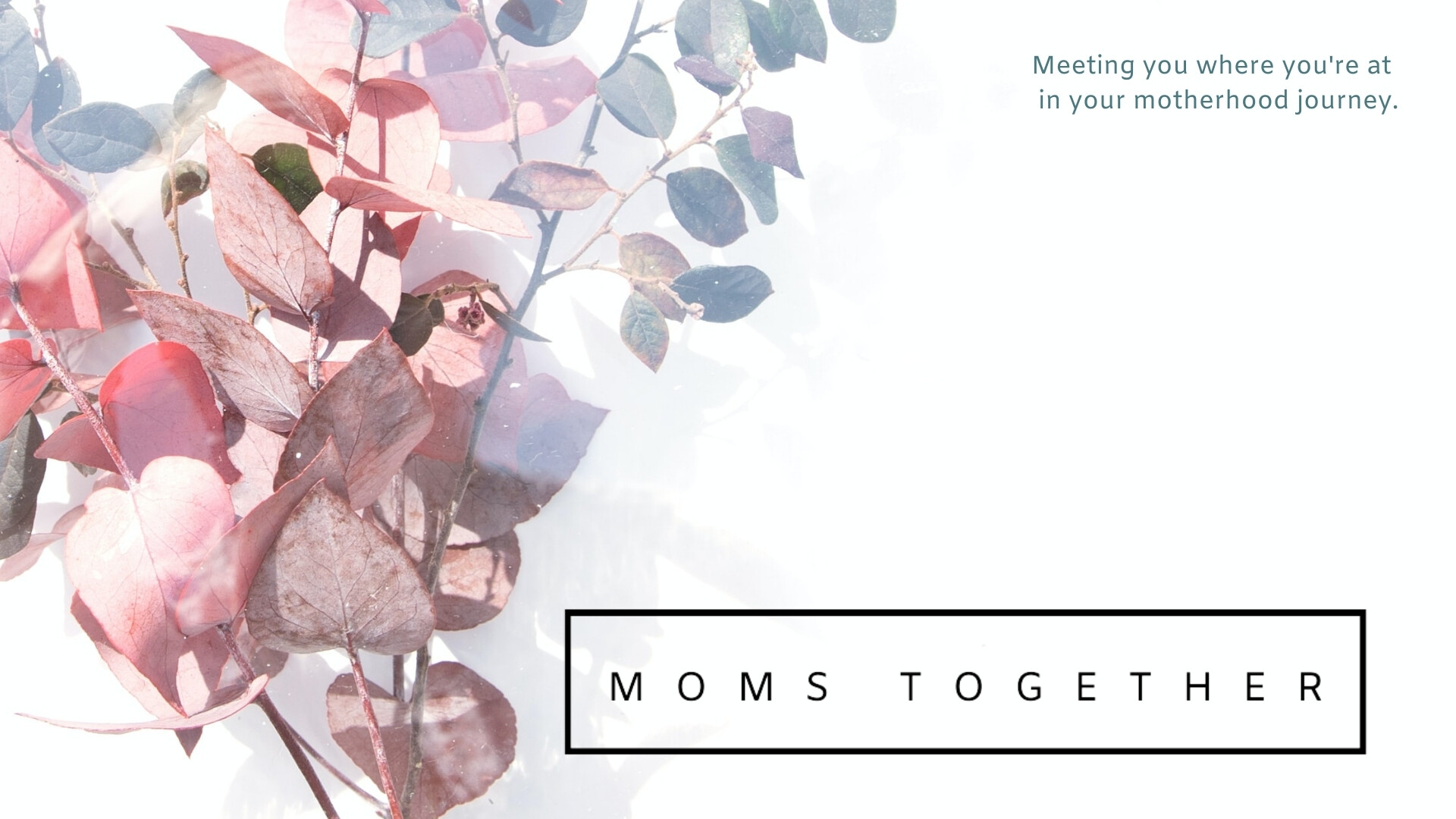 Moms Together: Spring 2021