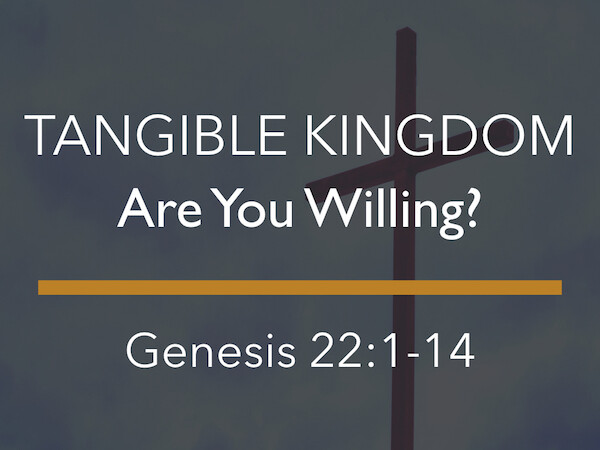 Are You Willing? (Audio) episode artwork