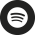 Spotify icon