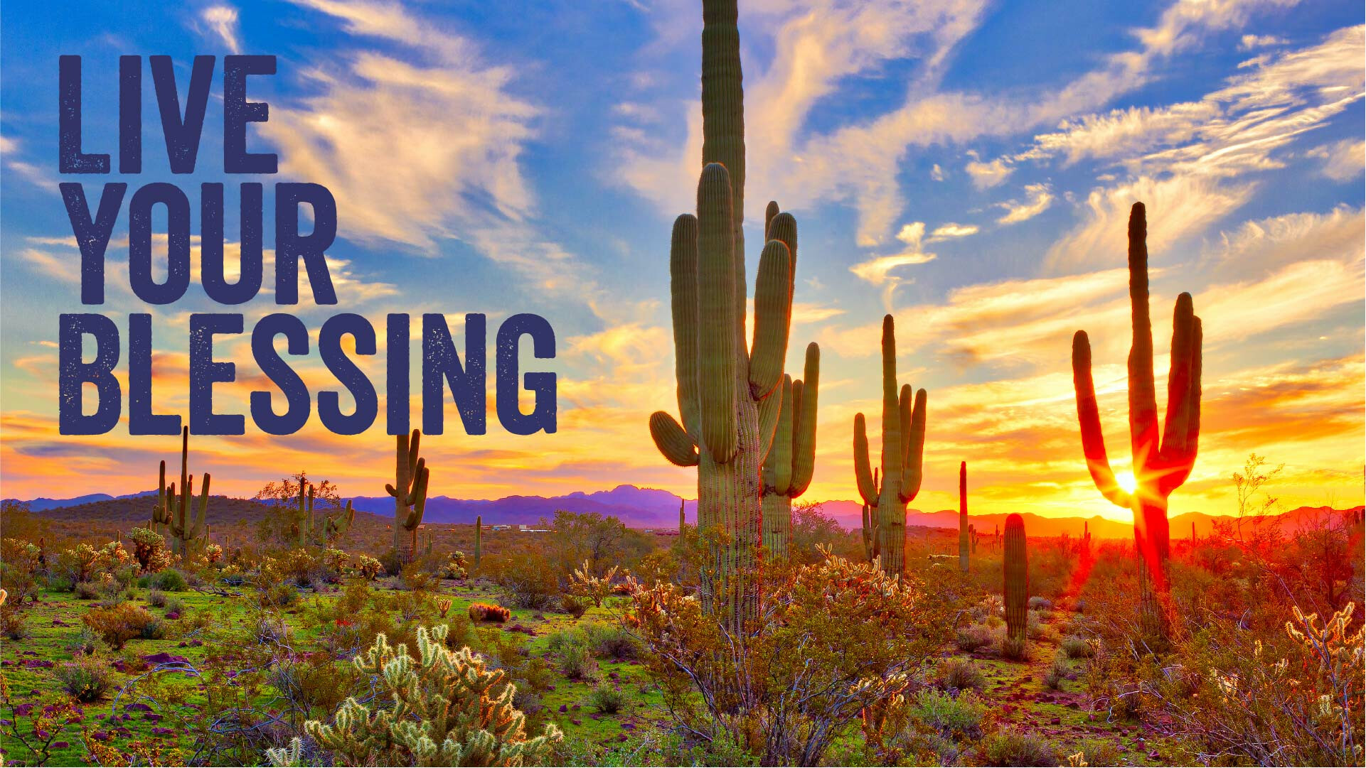 Live Your Blessing February 7, 2026 Devotional