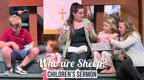 Who are Sheep? Childrens Sermon