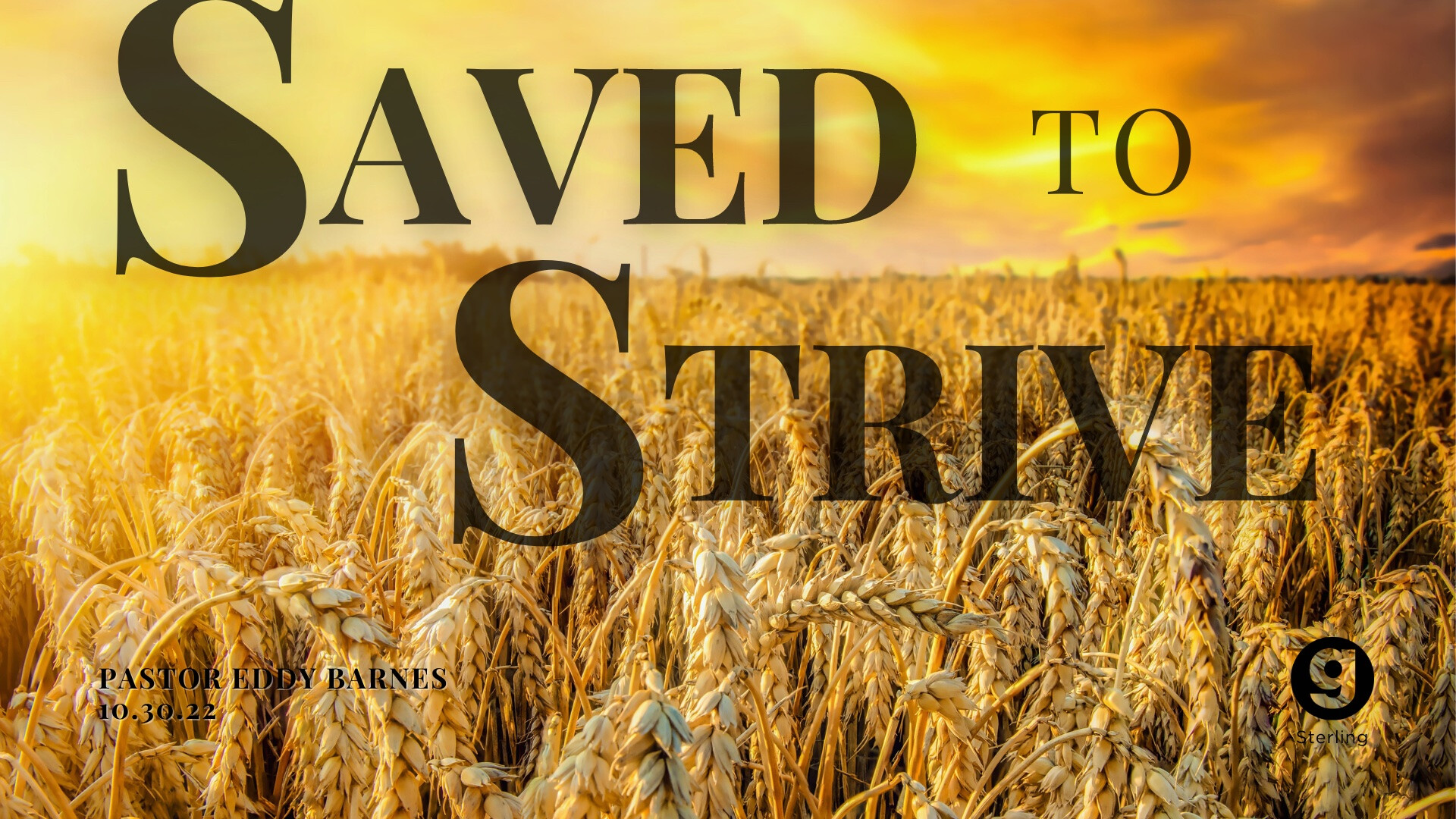 Saved To Strive episode artwork