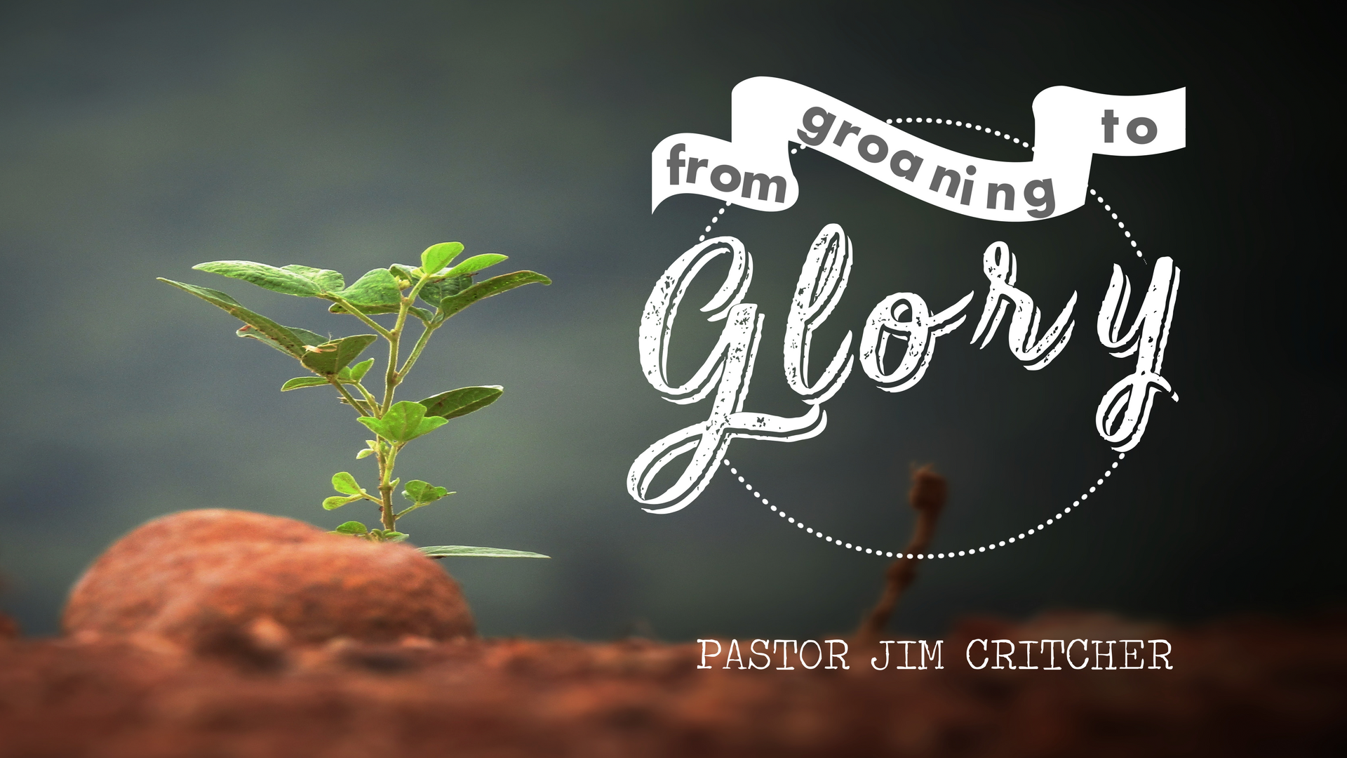 Grace Covenant Church - Chantilly