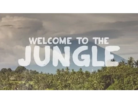 Series-Welcome to the Jungle