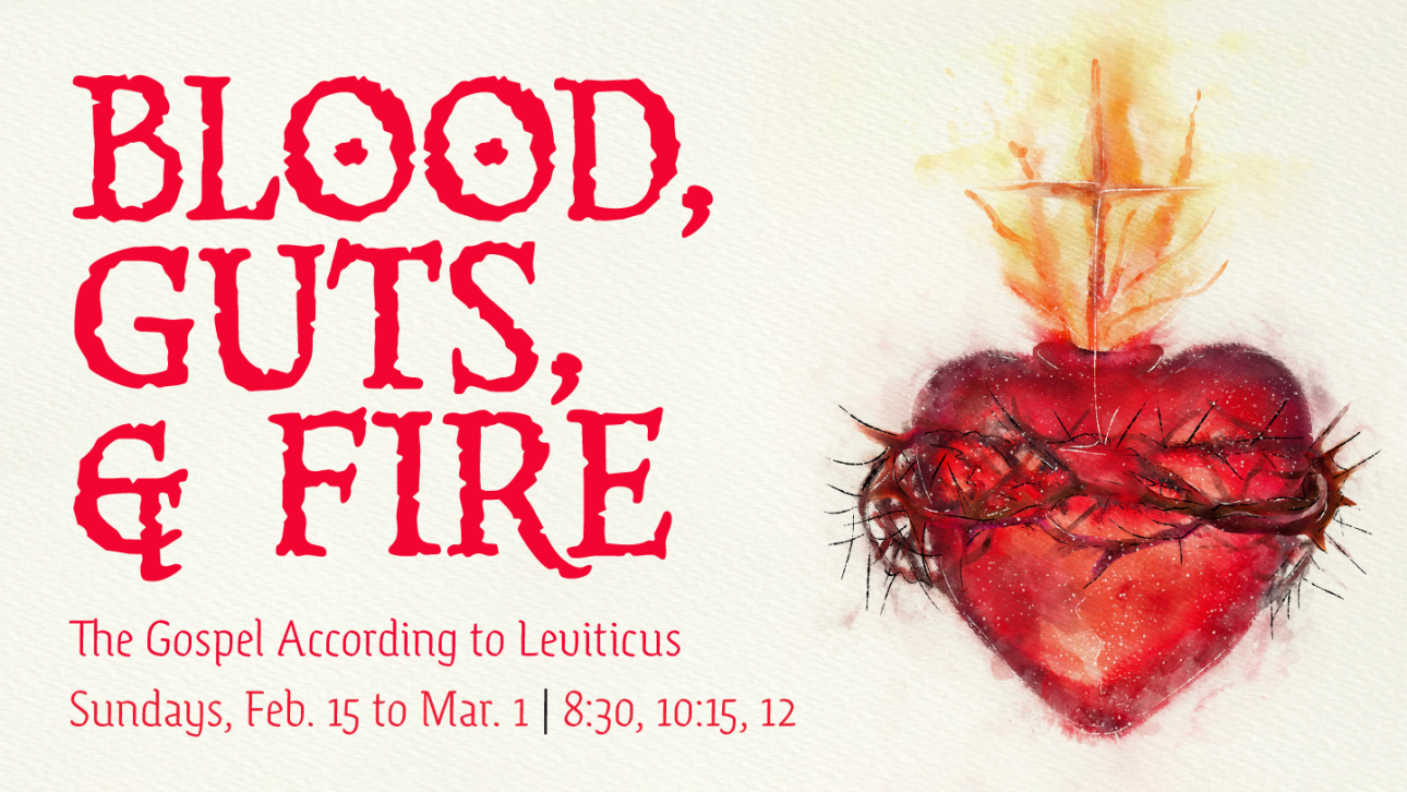 Series-Blood, Guts, and Fire