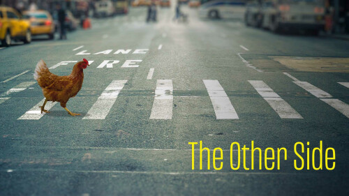 The Other Side