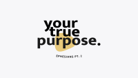 Your True Purpose – Ephesians Part 2