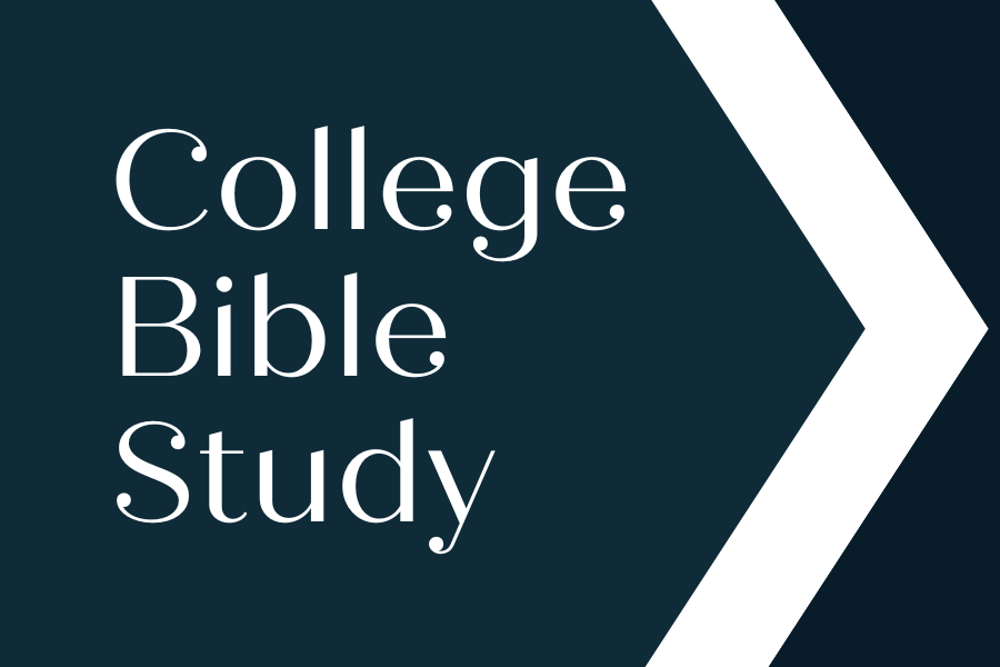 College Summer Bible Study