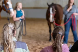 Trinity Equestrian Center